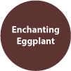 Enchanting-Eggplant.png